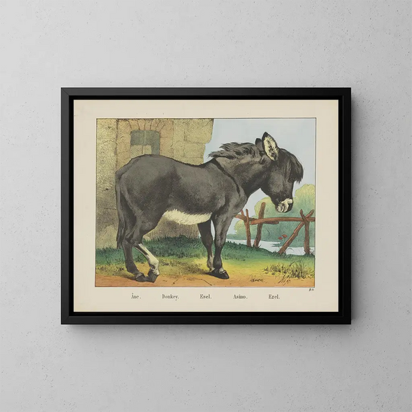 Donkey - Joseph Scholz — framed artwork on a wall