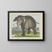Olifant - Joseph Scholz — ingelijst kunstwerk aan de muur