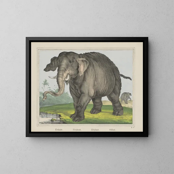 Elephant Painting - Joseph Scholz — framed artwork on a wall