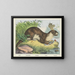 Rivierotter - Joseph Scholz — ingelijst kunstwerk aan de muur