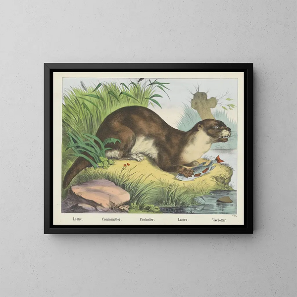 River Otter Painting - Joseph Scholz — framed artwork on a wall