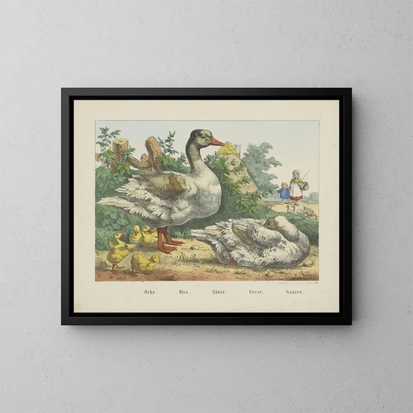 Geese - Joseph Scholz — framed artwork on a wall