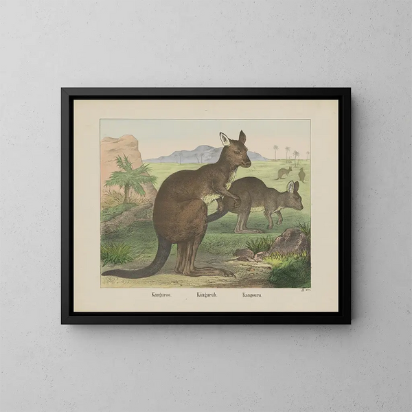 Kangaroo Painting - Joseph Scholz — framed artwork on a wall