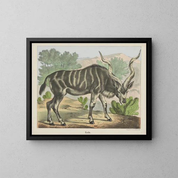 Koudou - Joseph Scholz — framed artwork on a wall