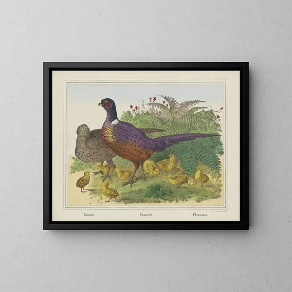 Pheasants - Joseph Scholz — framed artwork on a wall