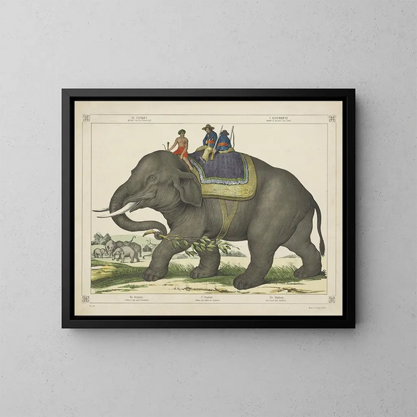 L'éléphant chassait d'autres éléphants - Joseph Scholz — framed artwork on a wall