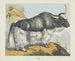 Yack - Joseph Scholz — weergave van het kunstwerk
