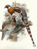 Calophasis Ellioti - Joseph Smit — weergave van het kunstwerk