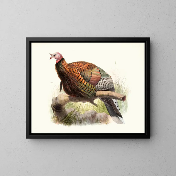 Mexican Méléagris Painting - Joseph Smit — framed artwork on a wall