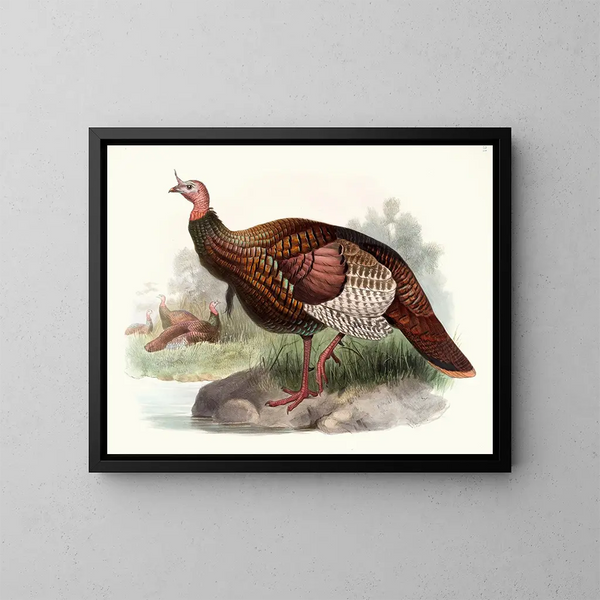 Wild Turkey Painting - Joseph Smit — framed artwork on a wall