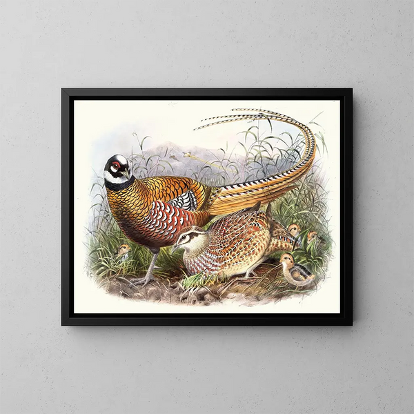 Reeves' Pheasant - Joseph Smit — framed artwork on a wall