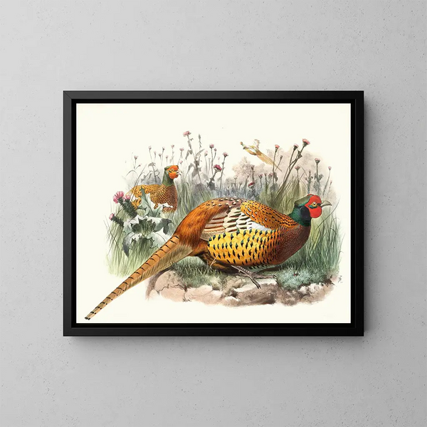 Pheasant of Shaw - Joseph Smit — framed artwork on a wall