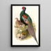 Phasianus versicolor - Joseph Smit — ingelijst kunstwerk aan de muur