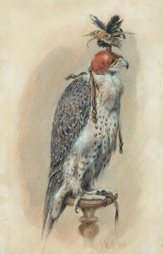 Joseph Wolf - A Gyrfalcon hooded.webp