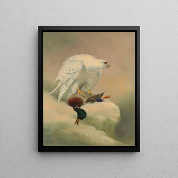 Gyrfalcon - Joseph Wolf — ingelijst kunstwerk aan de muur