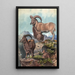 L'Aoudad - Joseph Wolf — ingelijst kunstwerk aan de muur
