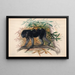 The sooty monkey - Joseph Wolf — framed artwork on a wall