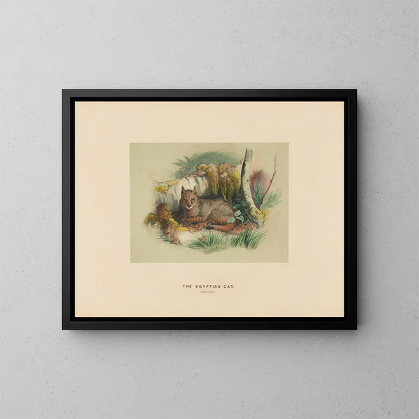 The Egyptian Cat - Joseph Wolf — framed artwork on a wall
