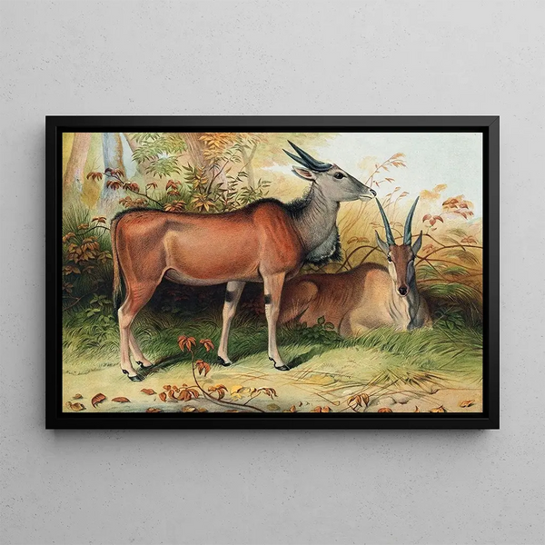 Joseph Wolf - The Eland.webp