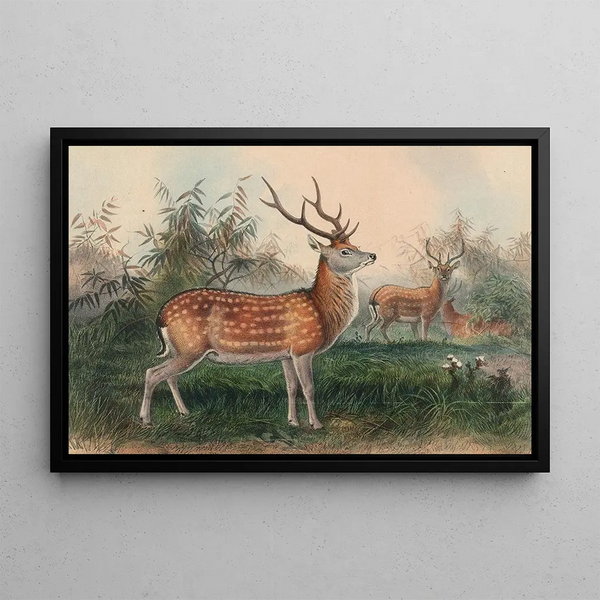 De Japanse Hert - Joseph Wolf — ingelijst kunstwerk aan de muur