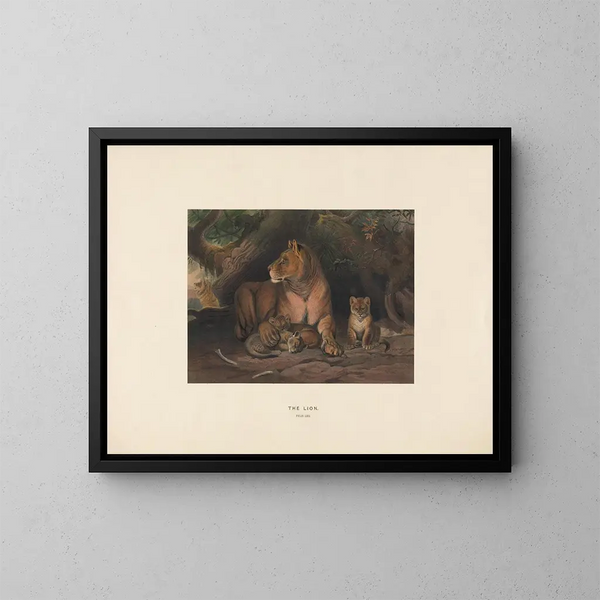 De Leeuw - Joseph Wolf — ingelijst kunstwerk aan de muur