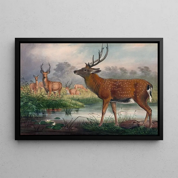 Joseph Wolf - The Mantchurian Deer.webp