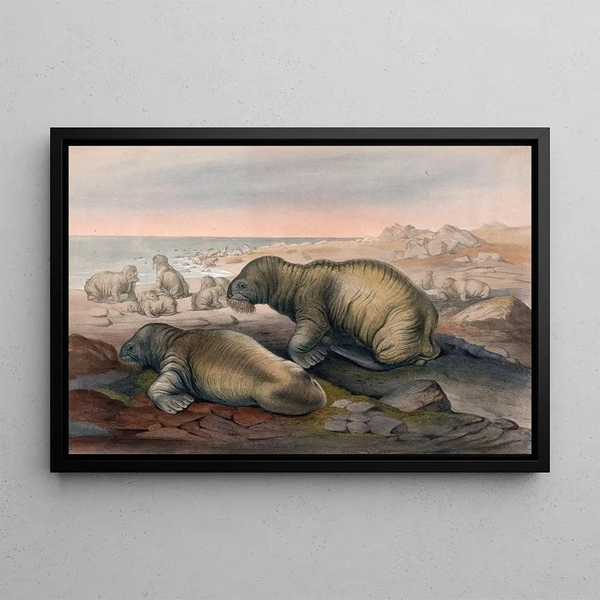 De Morse - Joseph Wolf — ingelijst kunstwerk aan de muur