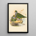 Twee vogels - Joseph Wolf — ingelijst kunstwerk aan de muur