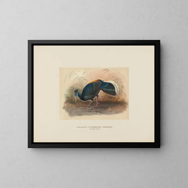 Fazant op de rug van vuur van Vieillot - Joseph Wolf — ingelijst kunstwerk aan de muur