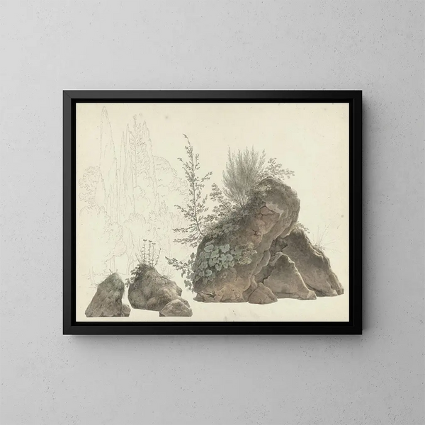 Rochers envahis - Josephus Augustus Knip — framed artwork on a wall