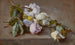 Rozen - Julian Alden Weir — weergave van het kunstwerk