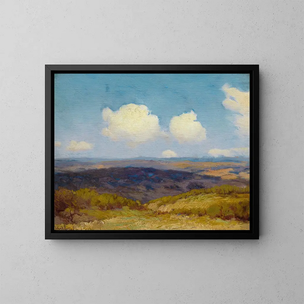 Shadows in Flight - Julian Onderdonk — framed artwork on a wall