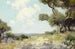 in de heuvels van het zuidwesten van Texas - Julian Onderdonk — weergave van het kunstwerk