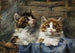 Twee katjes in een mand met blauwe stof - Julius Adam — weergave van het kunstwerk