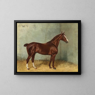 Julius von Blaas - A Bay Horse with White Blaze in a Stable.webp