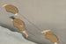 Bateaux de remorquage Hikibune - Kamisaka Sekka — artwork view