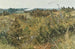 Grez-sur-Loing - Karl Nordström — artwork view