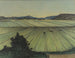 Landschap met velden - Karl Nordström — weergave van het kunstwerk