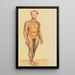 Nu masculin VI - Karl Wiener — ingelijst kunstwerk aan de muur