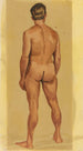 Nu masculin VII - Karl Wiener — weergave van het kunstwerk