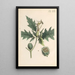 Illustratie en beschrijving populaire van achtenveertig giftige planten Pl40 - Karl Wilhelm Juch — ingelijst kunstwerk aan de muur