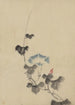 Fleur bleue de volubilis sur wijnstok - Katsushika Hokusai — weergave van het kunstwerk