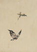 Papillon et papillon de nuit - Katsushika Hokusai — weergave van het kunstwerk