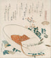 Een menigte kruiden ontmantelen Chigusagai - Katsushika Hokusai — weergave van het kunstwerk