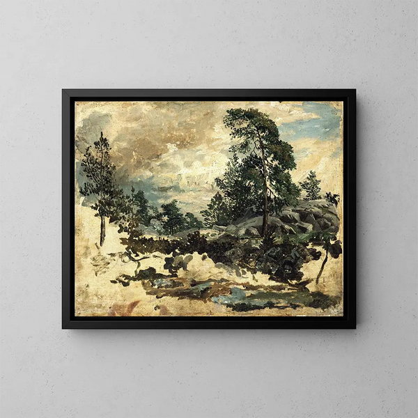 Study of terrain - Kilian Zoll — framed artwork on a wall