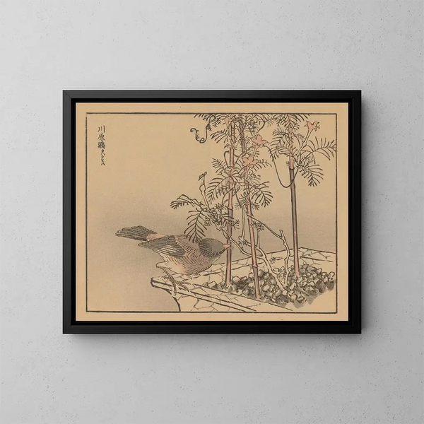 Bairei gafu, plate 30 - Kono Bairei — framed artwork on a wall