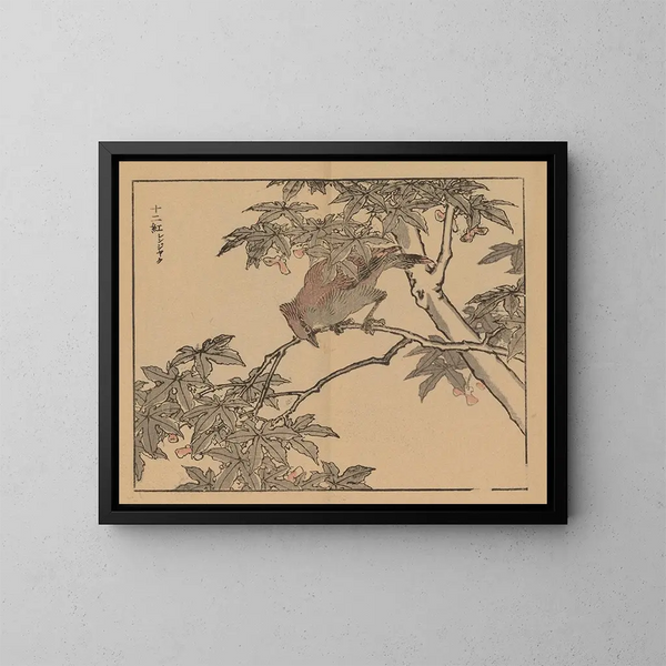 Bairei gafu, plate 32 - Kono Bairei — framed artwork on a wall