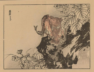 Kno Bairei - Bairei gafu Pl36.webp