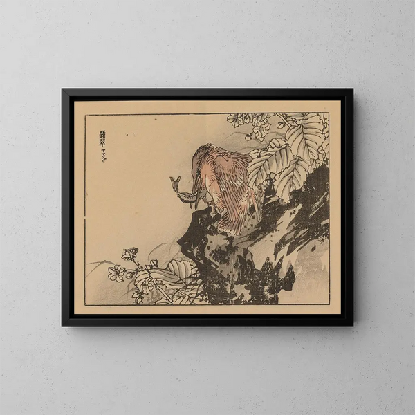 Bairei gafu, plate 36 - Kono Bairei — framed artwork on a wall