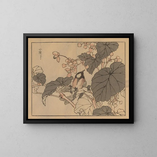 Bairei gafu, plate 39 - Kono Bairei — framed artwork on a wall